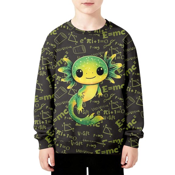 Bobifish Boys Long Sleeve Sweatshirts 3d Graphic Print Crewneck Sweatshirts Cool Math Themed Pullover Tops