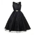 thumbnail image 1 of Bobifish Little Girls Sleeveless Formal Dress Allover Lace Belted Rhinestone Trim Skater Dress Children Elegant Romantic Wedding Banquet Party Dress, 1 of 5