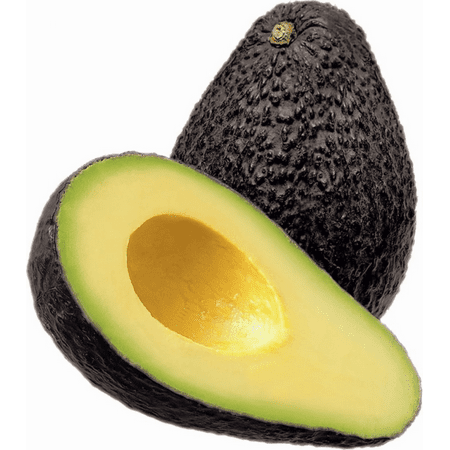 Boca Hydro Grafted Florida Hass Avocado Tree Organic Fruit Tree
