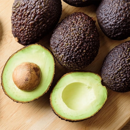 Boca Hydro Super Hass Avocado Tree – Grafted 2-3 ' Live Plant | Durable, Hurricane-Resistant Variety with Faster Growth | Produces Premium, Creamy Hass Avocados for Home Orchards & Commercial Growing