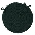 thumbnail image 1 of Boca Raton Chair Pad - Dark Green - Single Rug, 1 of 1