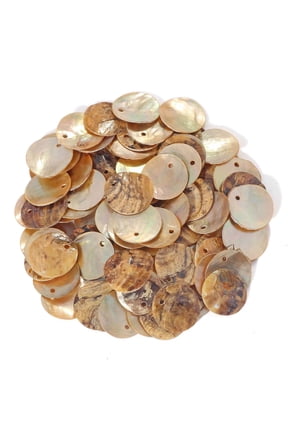 Shell Beads 150pcs Natural 15mm Flat Round Mussel Shell Coin Drop Charm Beads with Iridescent Back for Handcraft Jewelry Making(DIY-1023-Sand-15)
