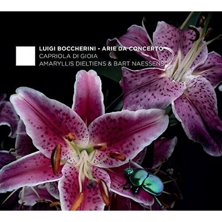 Boccherini / Dieltiens / Naessens - Boccherini: Arie Da Concerto - Music & Performance - CD