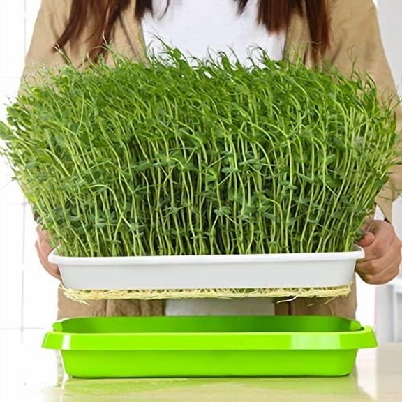 Bocianelli 2-Pack Seed Sprouter Tray with Humidity Lid, BPA Free Food Grade Soil-Free Sprouting Kit, Large Capacity Wheatgrass Grower & Microgreens Germination Station for Beans, Peas, Cat Grass