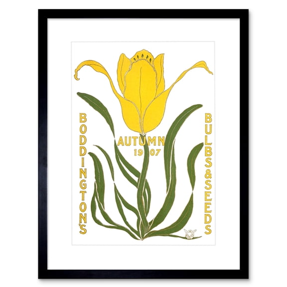 Boddingtons Bulbs Seeds Autumn 1907 Artwork Framed Wall Art Print 9X7 Inch