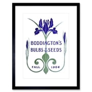 Boddingtons Seeds Bulbs Fall 1906 Artwork Framed Wall Art Print 9X7 Inch