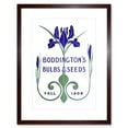 thumbnail image 1 of Boddingtons Seeds Bulbs Fall 1906 Artwork Framed Wall Art Print 9X7 Inch, 1 of 5