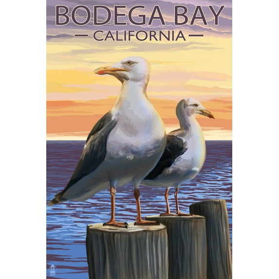 Bodega Bay, California, Seagull (12x18 Wall Art Poster, Room Decor)