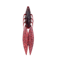 thumbnail image 1 of 6th Sense – Bodega – Soft Plastic Creature Bait – Bass Fishing – Twin Ridge Tail Action – Made in The USA ( Blood Apple,6.5" (5/pk)), 1 of 8