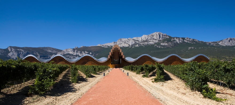 Bodegas Ysios winery building and vineyard La Rioja Spain Canvas Art - Panoramic Images (16 x 36)
