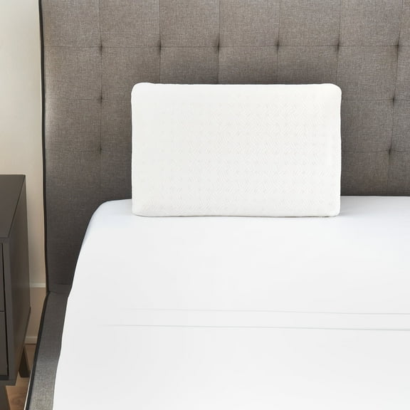 Bodipedic Essentials Conventional Memory Foam Bed Pillow