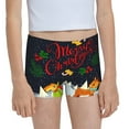 Easygdp Merry Christmas Elk Girls Hipster Cotton Underwear Little Girls