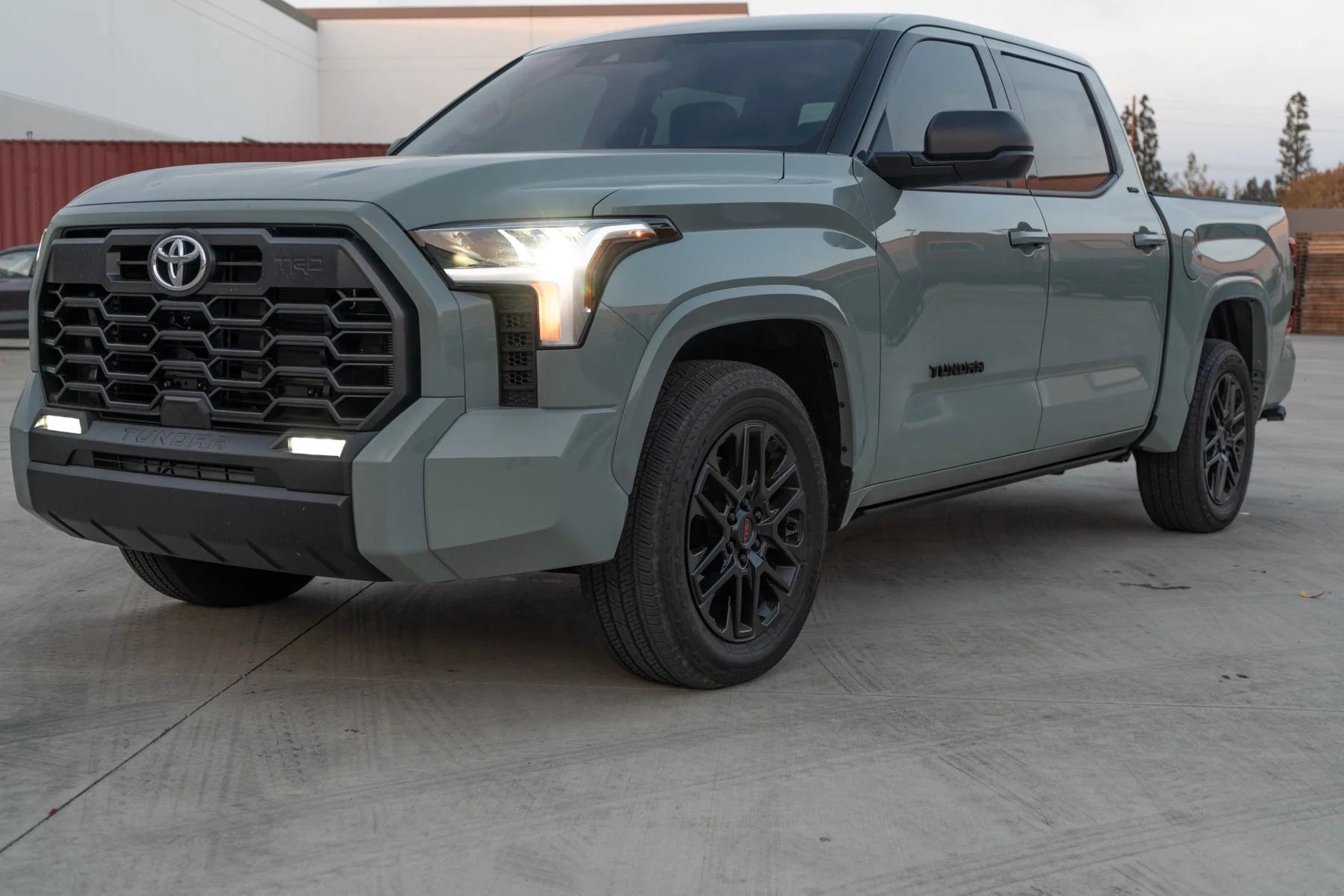 Body Armor 2022-2024 Fits Toyota Tundra Crewmax E-Power Board Steps TN-4500