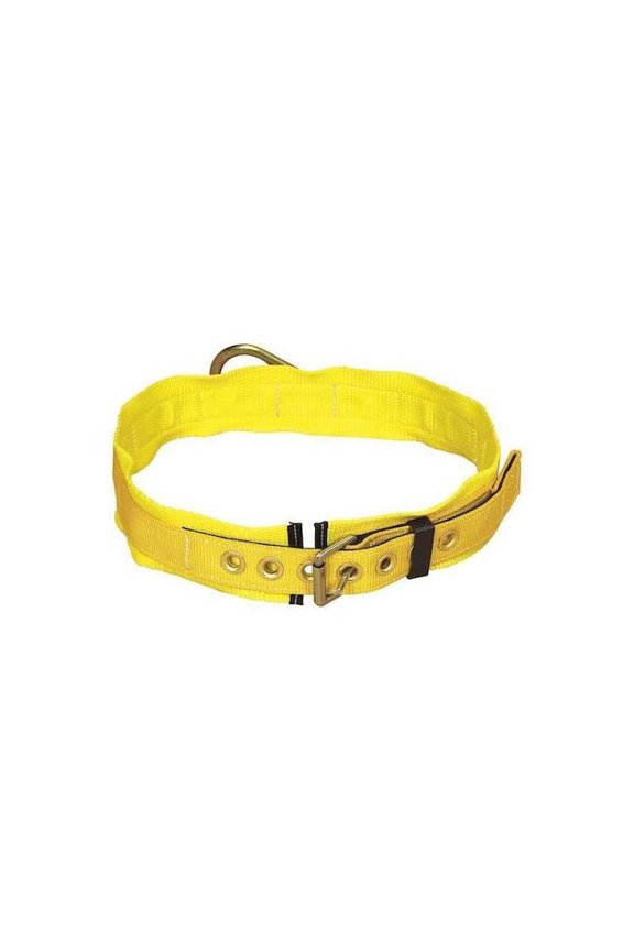 Body Belt, 1 D-Rings, Back Location, Stainless Steel, Includes Padding: Yes ,S 1000002