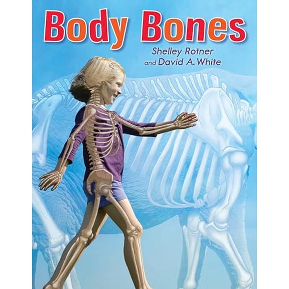 Pre-Owned Body Bones
