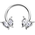 thumbnail image 1 of Body Candy 16G 316L Stainless Steel Horseshoe Circular Barbell Earring Fancy Fab Butterfly Clear Cartilage Septum Ring 3/8", 1 of 5