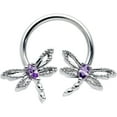 thumbnail image 1 of Body Candy 16G 316L Stainless Steel Horseshoe Circular Barbell Open Dragonfly Earring Cartilage Septum Ring 3/8, 1 of 7
