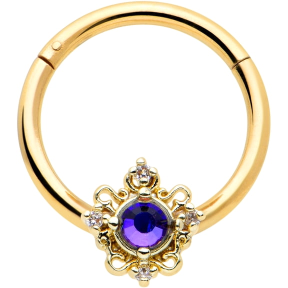 Body Candy 16G Electroplated Steel Hinged Segment Ring Seamless Cartilage Nipple Purple Accent Nose Hoop 3/8
