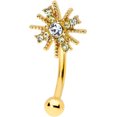 thumbnail image 1 of Body Candy 16G PVD Steel Eyebrow Jewelry Cartilage Tragus Daith Conch Rook Clear Eyebrow Ring 5/16”, 1 of 2