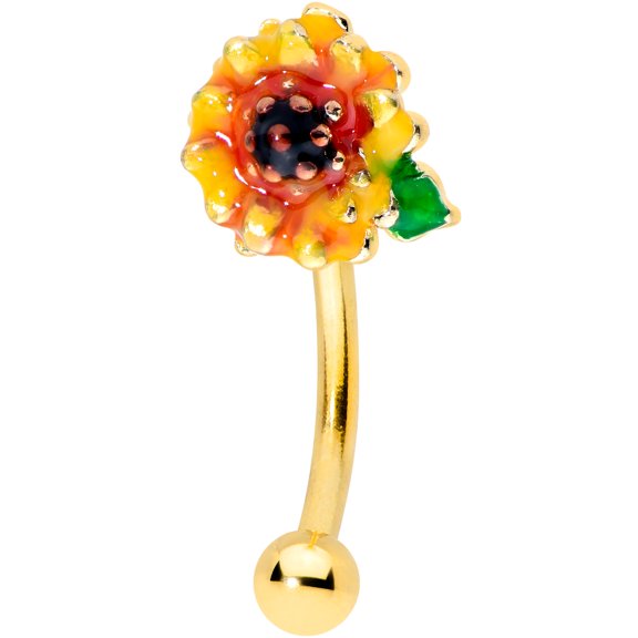 Body Candy 16G PVD Steel Eyebrow Jewelry Cartilage Tragus Daith Conch Rook Sunflower Eyebrow Ring 5/16