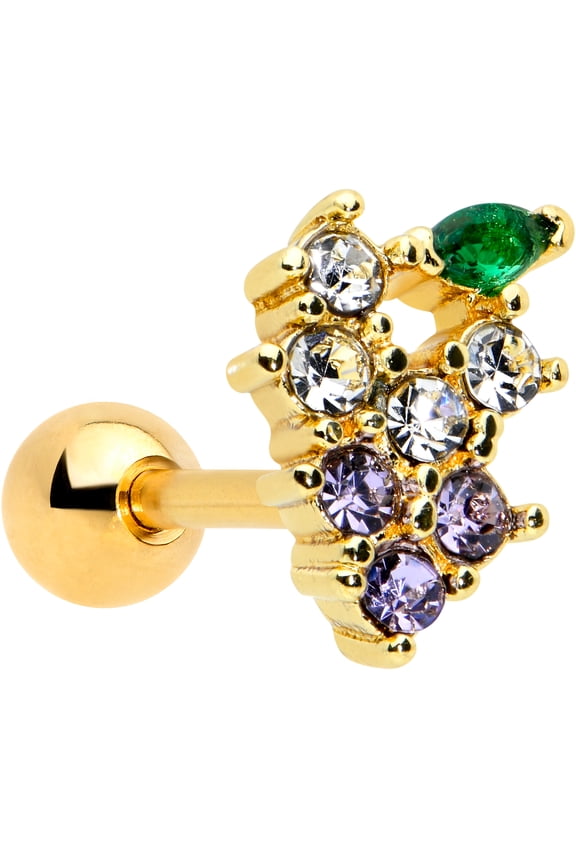 16G Womens PVD Stainless Steel Bunch of Grapes Top Ear Helix Jewelry 1/4