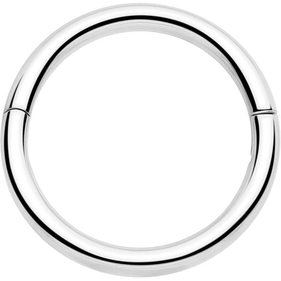 Body Candy 20G 1/4 Half Closure Cartilage Ring - Implant Titanium Hinged Segment Ring for Septum Cartilage Helix Daith Tragus Conch Ear Lobe Helix Piercings Women Men Hypoallergenic