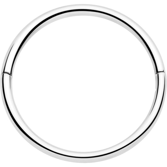 Body Candy 20G 3/8 Half Closure Cartilage Ring - Implant Titanium Hinged Segment Ring for Septum Cartilage Helix Daith Tragus Conch Ear Lobe Helix Piercings Women Men Hypoallergenic