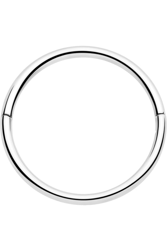 20G 3/8 Half Closure Cartilage Ring - Implant Titanium Hinged Segment Ring for Septum Cartilage Helix Daith Tragus Conch Ear Lobe Helix Piercings Women Men Hypoallergenic