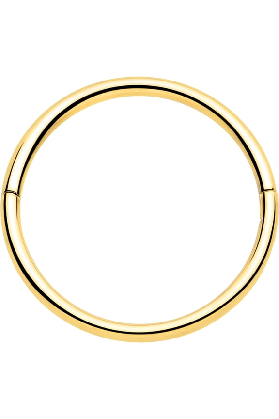 20G 3/8 Half Closure Cartilage Ring - Implant Titanium Hinged Segment Ring for Septum Cartilage Helix Daith Tragus Conch Ear Lobe Helix Piercings Women Men Hypoallergenic