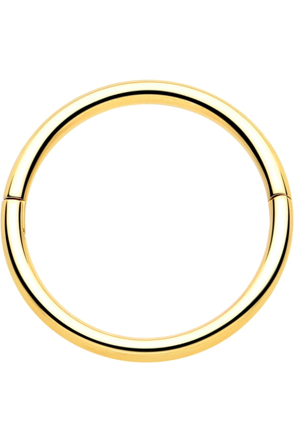 20G 5/16 Half Closure Cartilage Ring - Implant Titanium Hinged Segment Ring for Septum Cartilage Helix Daith Tragus Conch Ear Lobe Helix Piercings Women Men Hypoallergenic