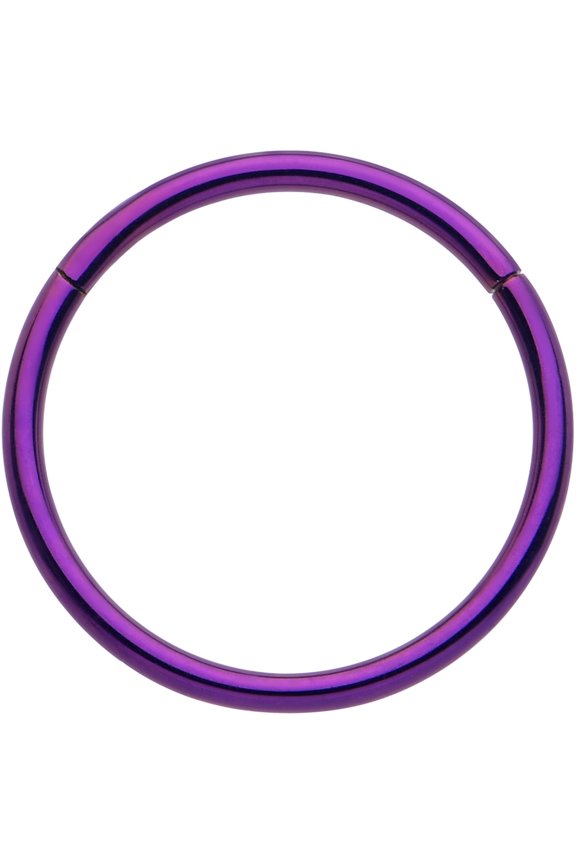 20G Titanium Nose Hoops ASTM F136 - 9mm Hinged Segment Nose Rings Seamless Cartilage Hoop Ring