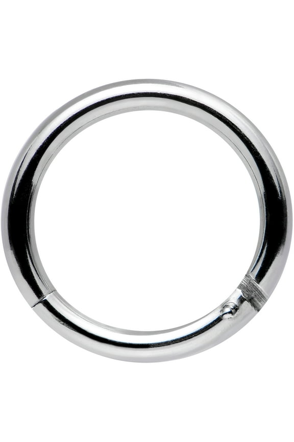 Stainless Steel Hinged Segment Ring Circular Barbell 14 Gauge 3/8"