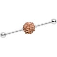 thumbnail image 1 of Body Candy Womens 14G 316L Stainless Steel Helix Cartilage Earring Pine Cone Industrial Barbell 1 1/2", 1 of 3