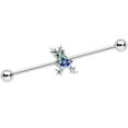 thumbnail image 1 of Body Candy Womens 14G 316L Steel Helix Blue Green Fab Frog Industrial Barbell 1 1/2, 1 of 3