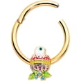 thumbnail image 1 of Body Candy Womens 16G PVD Steel Hinged Segment Ring Seamless Cartilage Nipple Hatch Egg Chick Nose Hoop 3/8", 1 of 2
