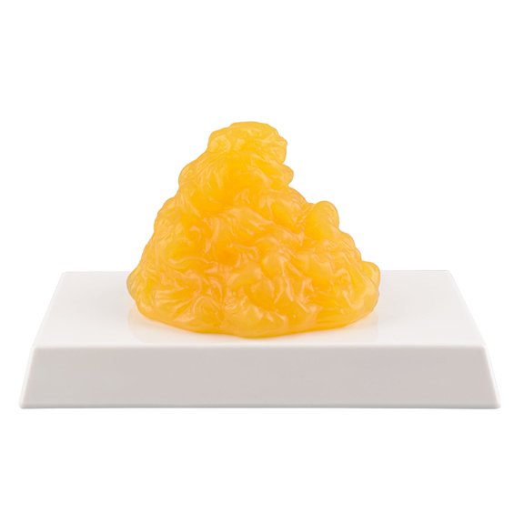 Body Fat Replica 1 lb with Display Base, Keep Fit & Weight Loss Motivation & Reminder