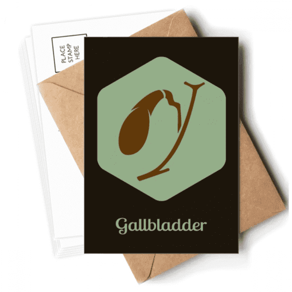 Body  Gallbladder Art Deco  Fashion Postcards Envelopes Blank Note Cards Mailing