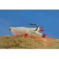 thumbnail image 1 of Body Guard Mantis Shrimp Color: White, Size: #4, 1 of 1