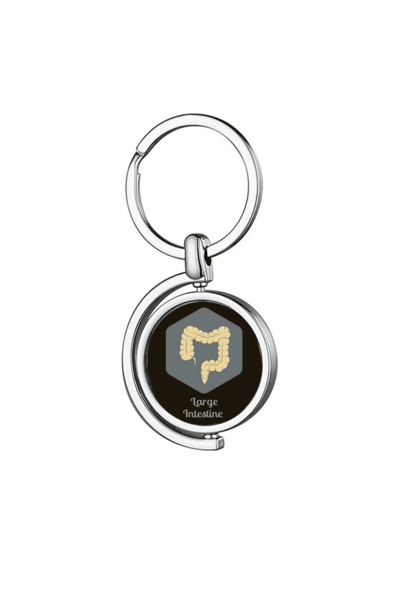Body Large Intestine Rotating Keychain Metal Keyring Holder