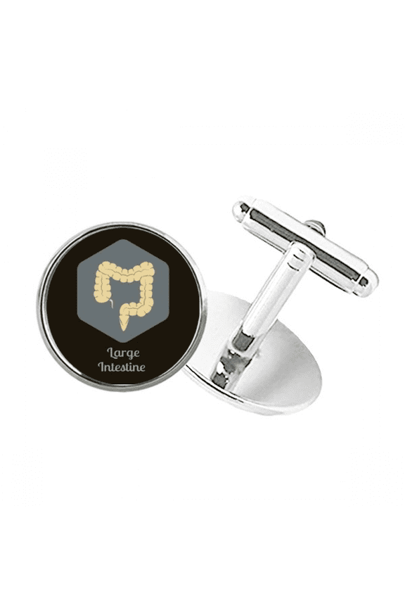 Body Large Intestine Round Button Cuff Clip Stud Cufflinks
