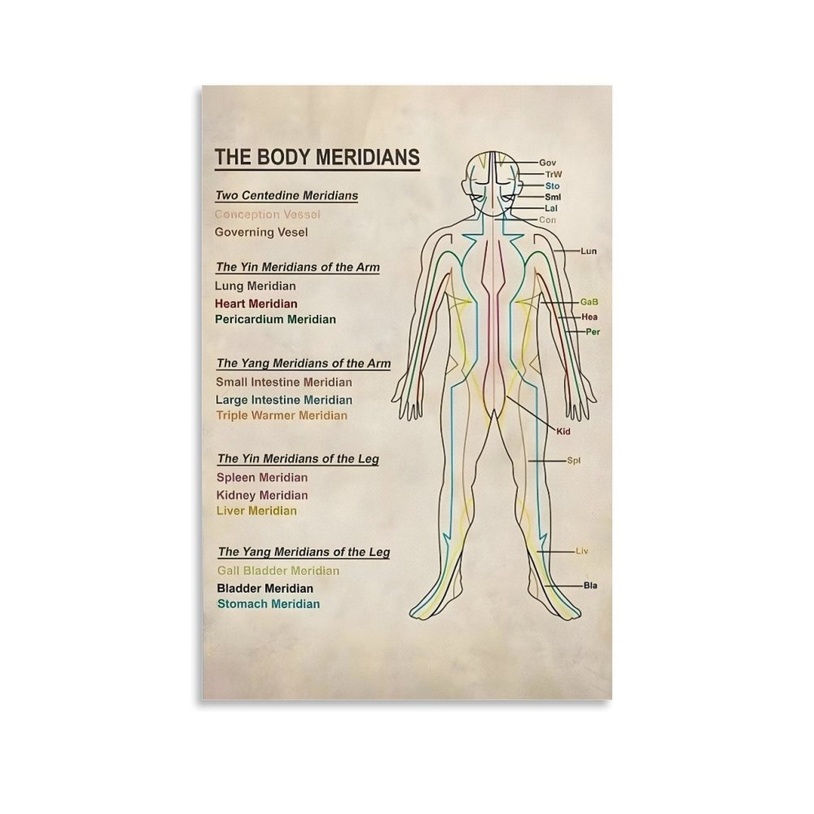 Body Meridians Knowledge Poster Foot Reflexology Chart Trigger Points