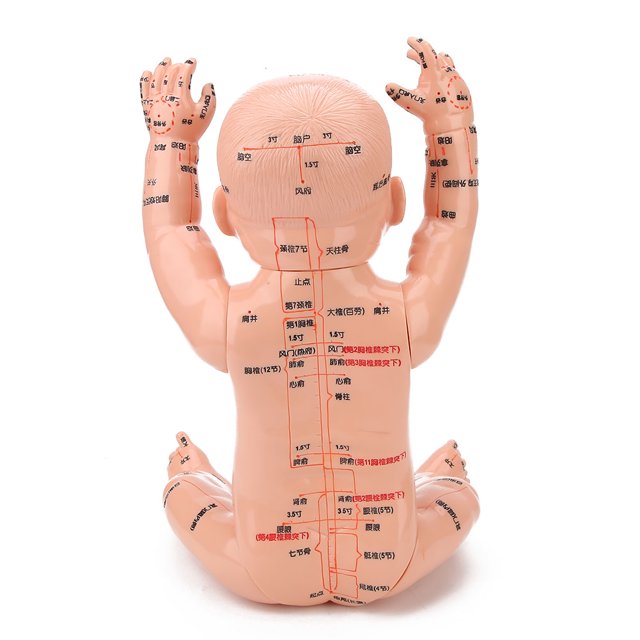 Body Meridians Massage Model Children Massage Model Training Doll