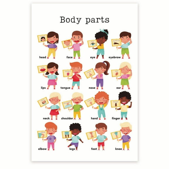 Body Parts Poster - Learning Anatomy for Kids - Biology Science Classroom Poster Educational Visual Aid - 12 x 18 Inch Poster - Unframed - Premium 100lb Gloss - Made In USA - BMCP0241