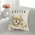 Body Pillowcase with Zipper Easter Border Cartoon Pillow Linen Pillow