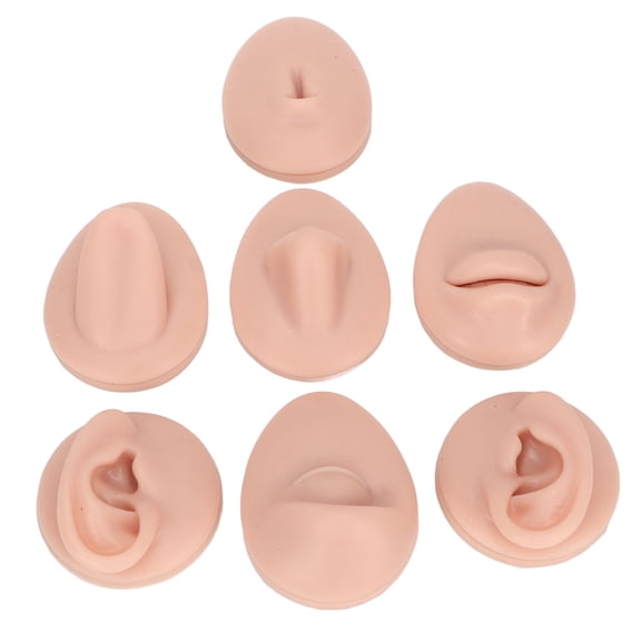 Body Practice Model, Ear Model Silicone 3D Simulation Mouth Belly Button Model  For Piercers