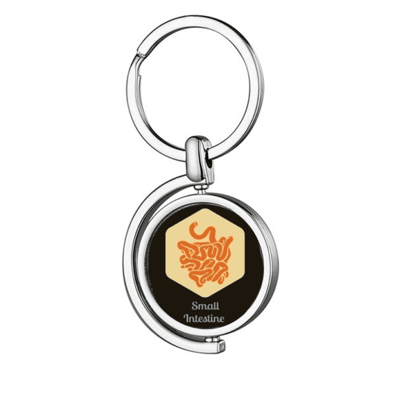 Body Small Intestine Rotating Keychain Metal Keyring Holder