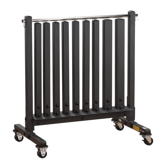 Body Solid - GDR500 Commercial Dumbbell Rack