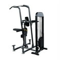 thumbnail image 1 of Body-Solid FCDSTK3 Pro Select Weight Assisted Dip and Chin Station, Steel, 310 lbs Stack, Home Gym, 1 of 7