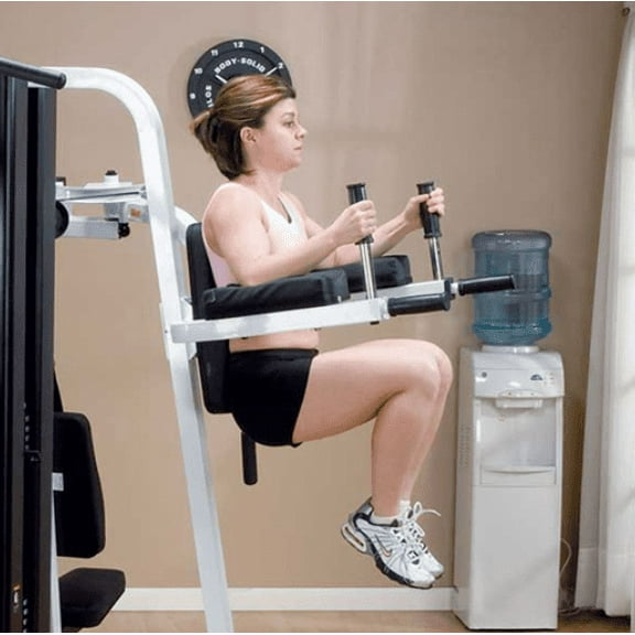 Body-Solid EXM3000LPS Vertical Knee Raise Attachment