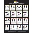 thumbnail image 1 of Body Sport Exercise Band Total Body Workout Poster, 1 of 1